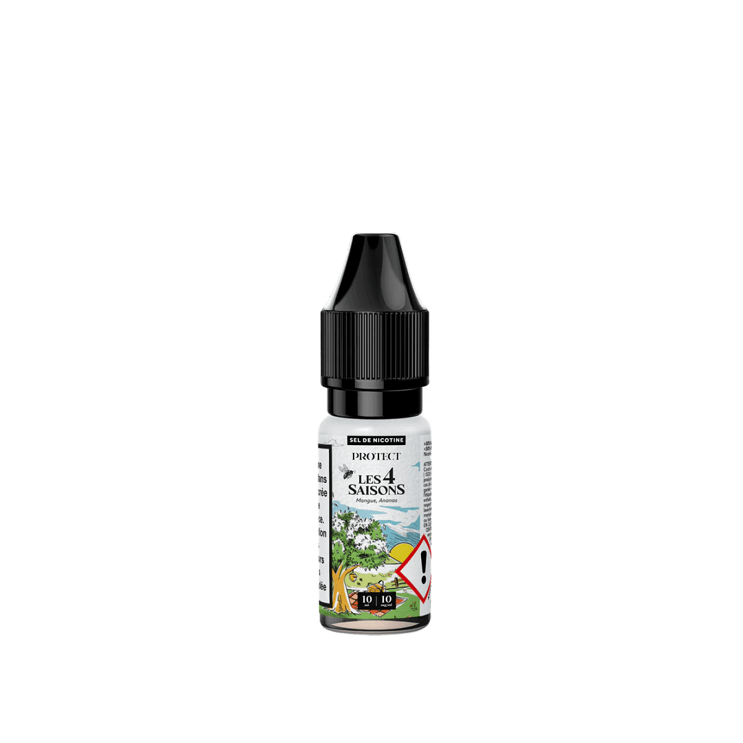 Mangue Ananas SALT - 10ML - PROTECT
