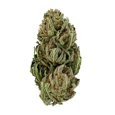 Tangie Candy CBD - Fleur