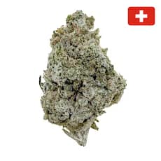 Charlotte CBD - Fleur